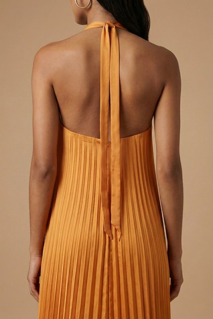 Open Back Halter Pleated Maxi Dress | Women's Evening Dress 4